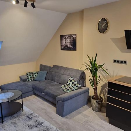 Vltava Design Apartments プラハ エクステリア 写真